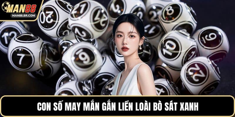 Con số may mắn gắn liền loài bò sát xanh
